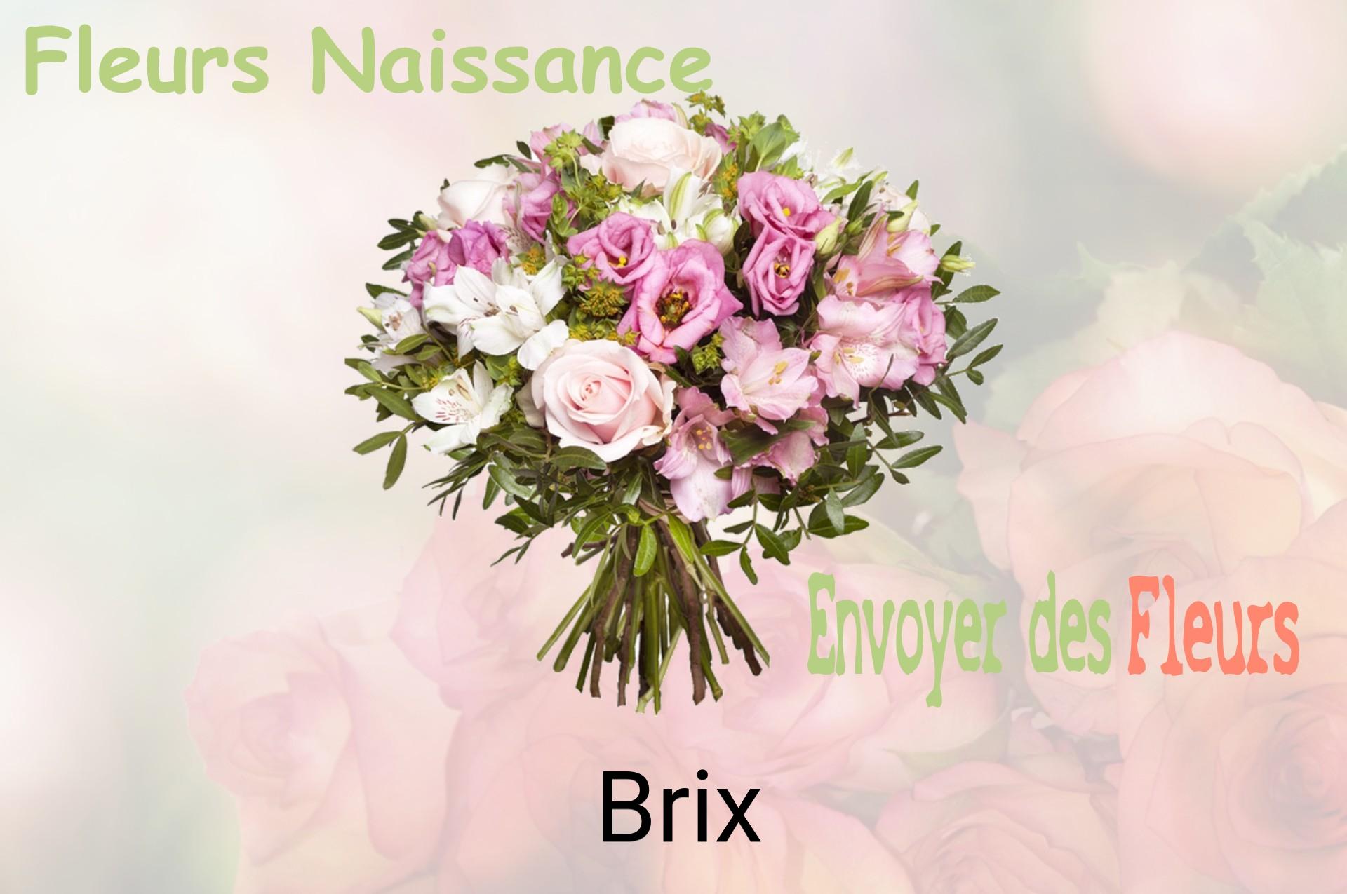 Bouquet de fleurs de naissance livré à Brix